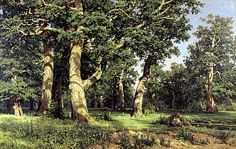 Il bosco di querce, 1887