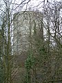 Kasteel Stein, de donjon of "Witte Toren" op de motte