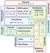 IPA-euler-manners-features