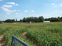 Millets Maize Maze, at Millets Farm Centre, Oxfordshire, UK