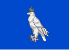冰島國王旗幟，蓝底中间为翠鸟徽章