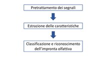 Schema delle fasi di elaborazione dei dati del naso elettronico