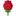 🌹