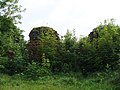 Ruine Fischhausen, 1