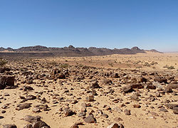 Landscape of he stony desert known as Reg de l'Adrar