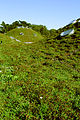 November 2nd The green roof of the California Academy of Sciences