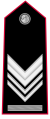 Distintivo di grado per controspallina di brigadiere capo dell'Arma dei carabinieri