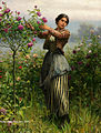 Cutting Roses by Daniel Ridgway Knight