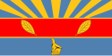 Vlag van Harare