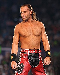 Shawn Michaels 2008-ban, a WrestleMania XXIV-en