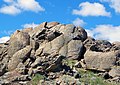 Image 10Winnemucca Lake petroglyphs; researchers dated the carvings to between 14,800 and 10,500 years ago. (from History of Nevada)