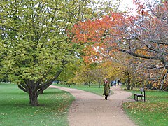 Gravel paths in the Parks