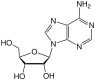 Estructura química de adenosina