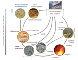 Gesteentecyclus levert mineralen