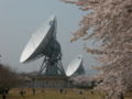 KDDI茨城衛星通信センター 32mパラボラアンテナ