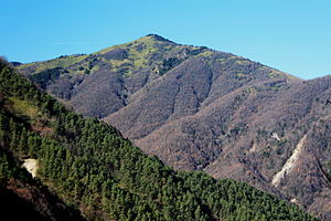 南側の横岳方面から望む大川入山（2013年11月24日）