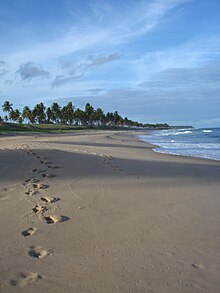 Playa en Costa do Sauípe (2).jpg