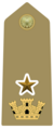 Distintivo di capitano con funzioni di grado superiore dell'Esercito Italiano
