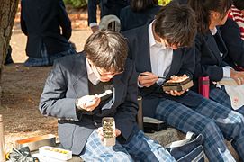 Repas d'étudiants du parc Maruyama de Kyoto.