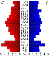 Bevolkingspiramide Mills County