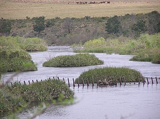 Die Breederivier