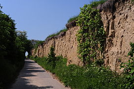 Königsberghohlweg i nærheten av Groß-Schweinbarth, Østerrike.