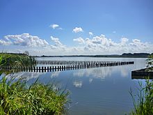 県立印旛手賀自然公園（手賀沼）