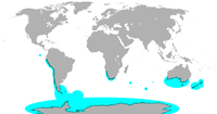 Distribución dos pengüíns Aptenodytes Eudyptes Eudyptula Megadyptes Pygoscelis Spheniscus