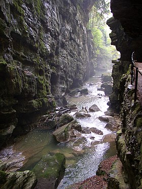 Vue des gorges du Taubenloch.