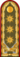 Colonel general