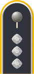 Hauptmann (uniforme ordinaria)