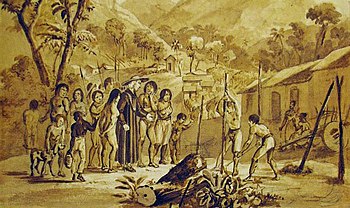 An image depicting a village of indigenous people in Brazil referred to as "tapuyos," who have been described as a detribalized population.