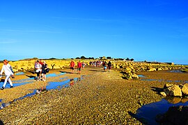 Les Traversées de Tatihou en 2019.