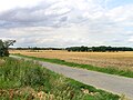 Flatland along the Elbe River near Zlonín