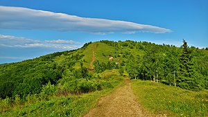 Дорога на Маковицю