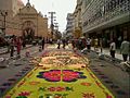 Image 73Sawdust carpet in Holy Week. (from Culture of Honduras)