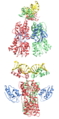 CcpA in complex with Hpr-Ser-46