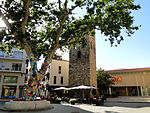 Arbre de la Llibertat de Llançà