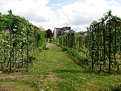 The tree nursery in the Jardin Vauban in Lille. (1863).