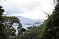 un pont suspendu dans le parc national de Nyungwe