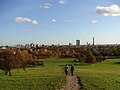 Primrose Hill.