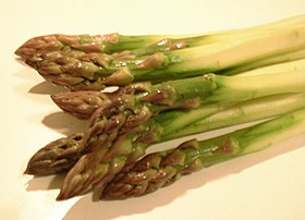 Asparagus officinalis (espargos)