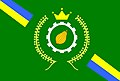 Bandeira de Ibicaraí