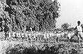 Palmach, 11th Company, doing morning exercises at Ginosar, 1947