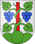 Blazono de Meinisberg