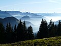 Blick vom Wertacher Hörnle auf die Allgäuer Alpen