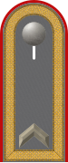 Dienstgradabzeichen auf der Schulterklappe der Jacke des Dienstanzuges für Heeresuniformträger der Artillerietruppe.