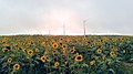 Windpark in het Nunobiki Hoogland