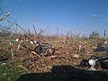 Image 5Tornado damage in Phil Campbell following the statewide April 27, 2011, tornado outbreak (from Alabama)