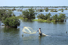 Numa área alagada, com algumas árvores no meio da água limpa e azul, um homem dentro da água arremessa uma rede.